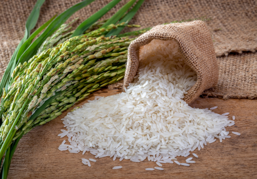 RICE